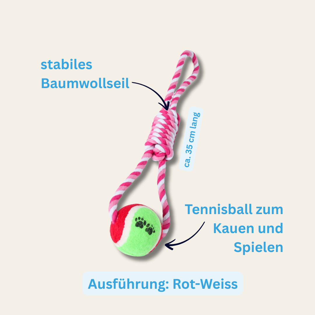 Hundespielzeug Rune – robust geflochten für echte Lieblingsspiele
