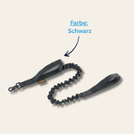 Bungee-Hundeleine Marit – Premium-Halt für starke Teams