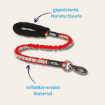 Bungee-Hundeleine Malin – flexibel, sicher & sichtbar bei jedem Schritt