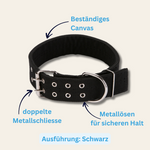 Canvas-Halsband Birgit – robust & zeitlos im Look