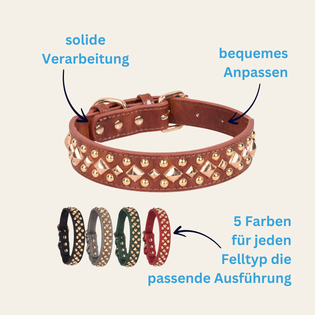 Halsband Aurora – elegant mit goldenen Nieten für den Wow-Effekt