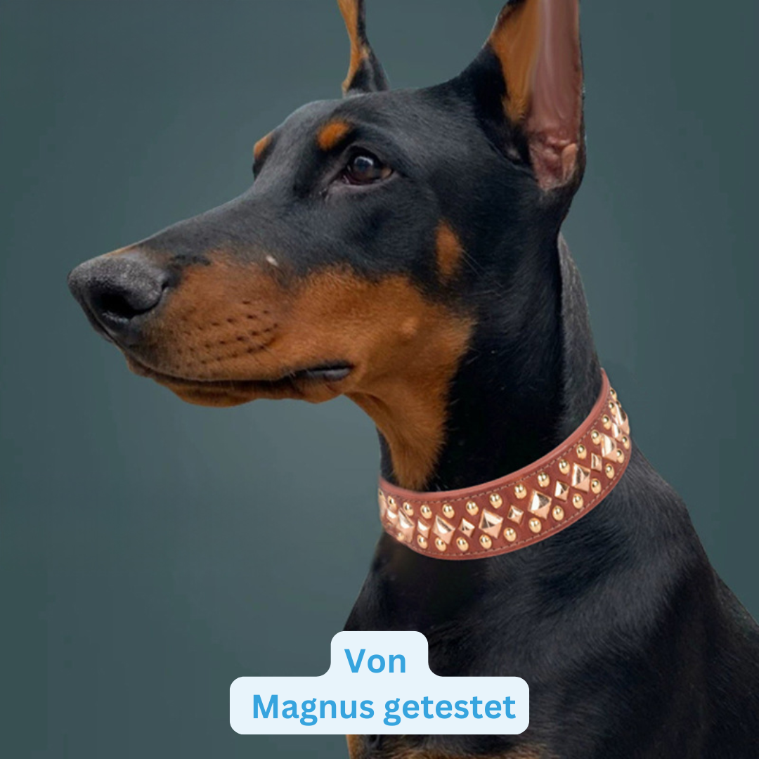 Halsband Aurora – elegant mit goldenen Nieten für den Wow-Effekt