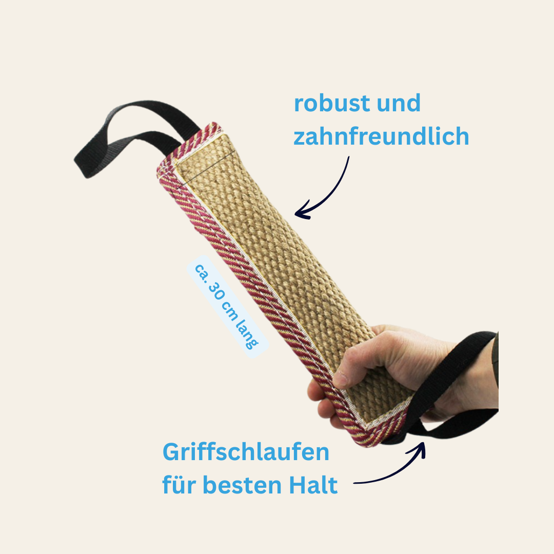 Trainingsstab Nils – für Fokus, Spiel & große Hunde
