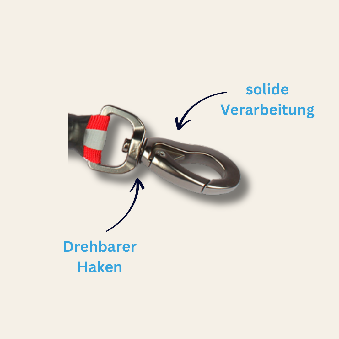 Bungee-Hundeleine Malin – flexibel, sicher & sichtbar bei jedem Schritt