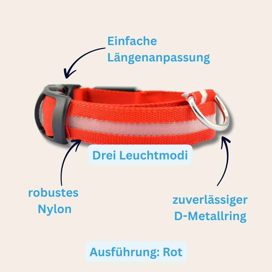 LED-Halsband Lysa – für Sichtbarkeit mit Stil