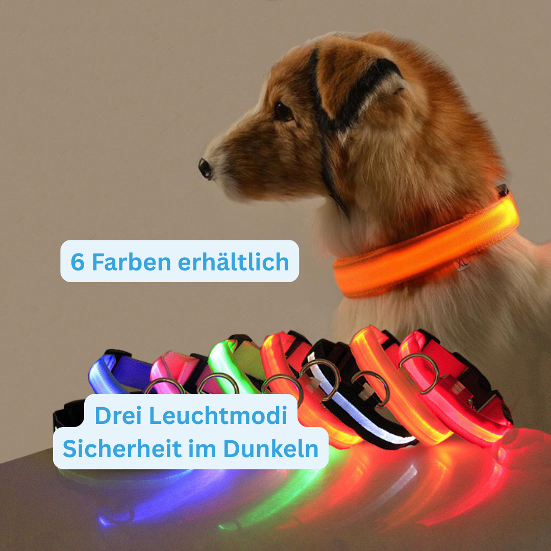 LED-Halsband Lysa – für Sichtbarkeit mit Stil