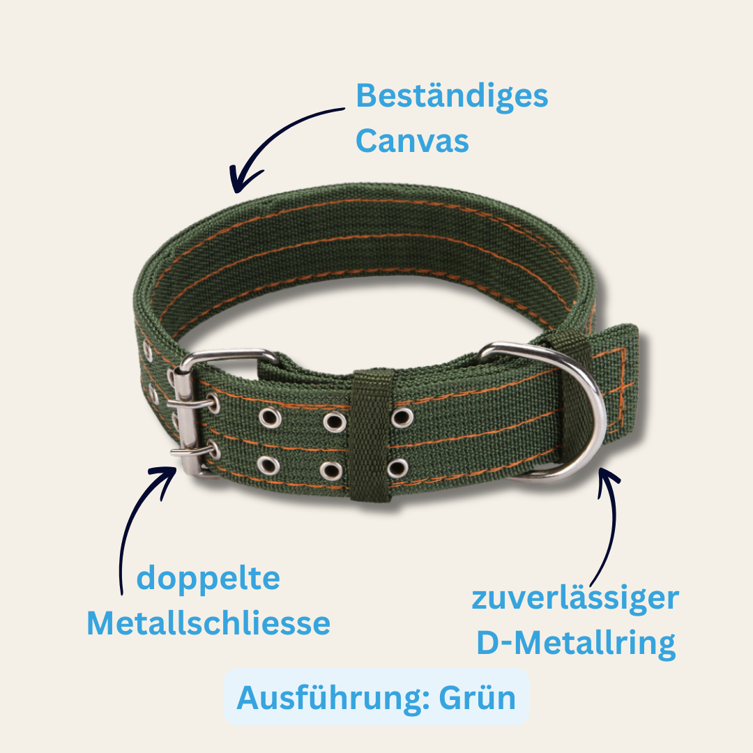 Canvas-Halsband Birgit – robust & zeitlos im Look